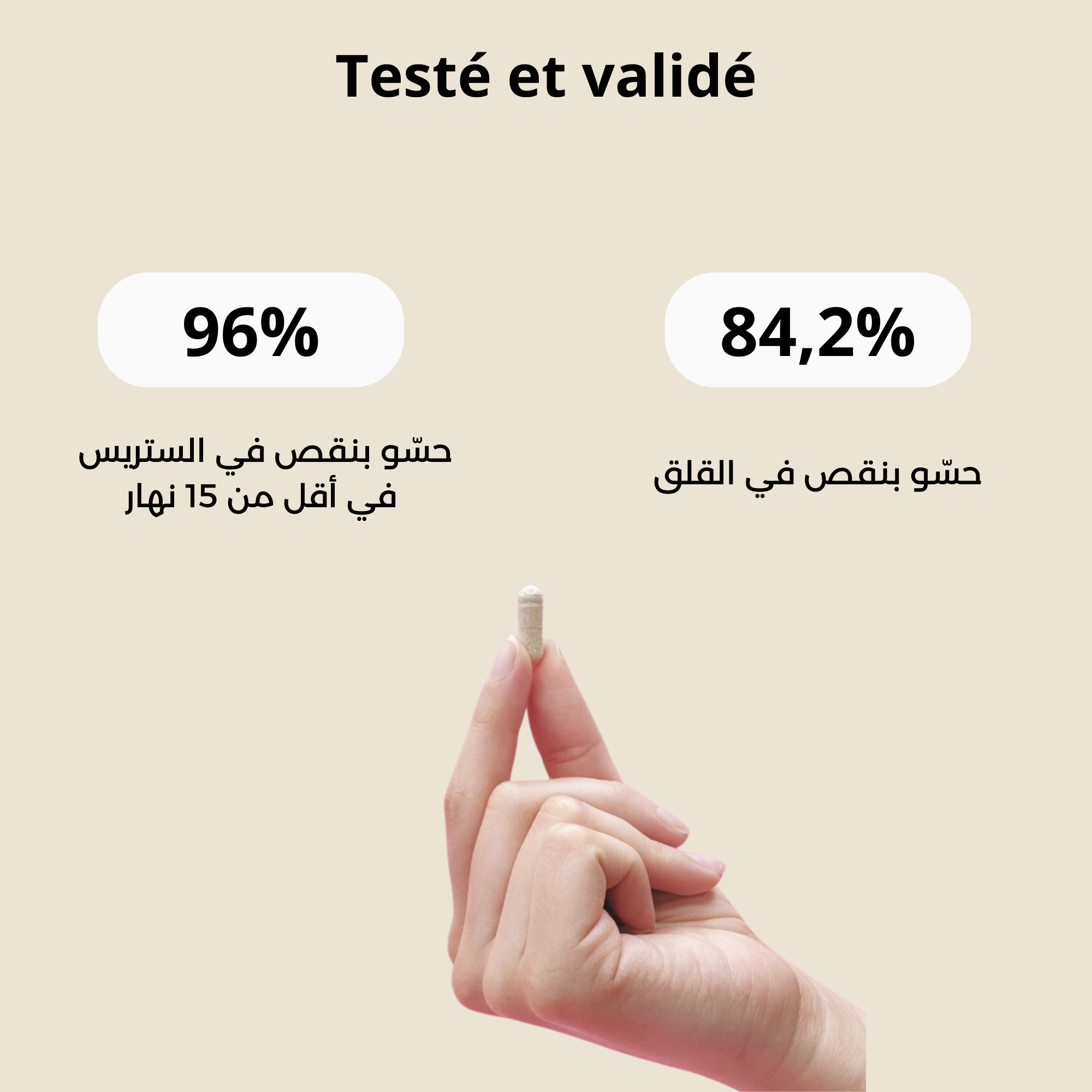 Boîte de Safrocalm – complément alimentaire contre le stress, l’anxiété et les crises d’angoisse, panique